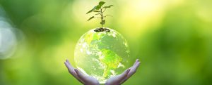 Sistemas de gestión ambiental ISO 14001:2015​