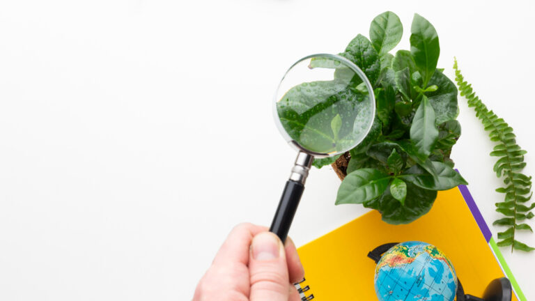 Auditor Líder Integrado en ISO14001 e ISO45001: ¿Qué puede hacer?