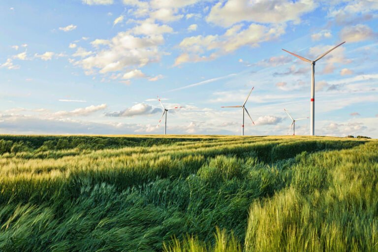 Gestión Ambiental Avanzada: transforma tu modelo de negocio hacia la sostenibilidad real