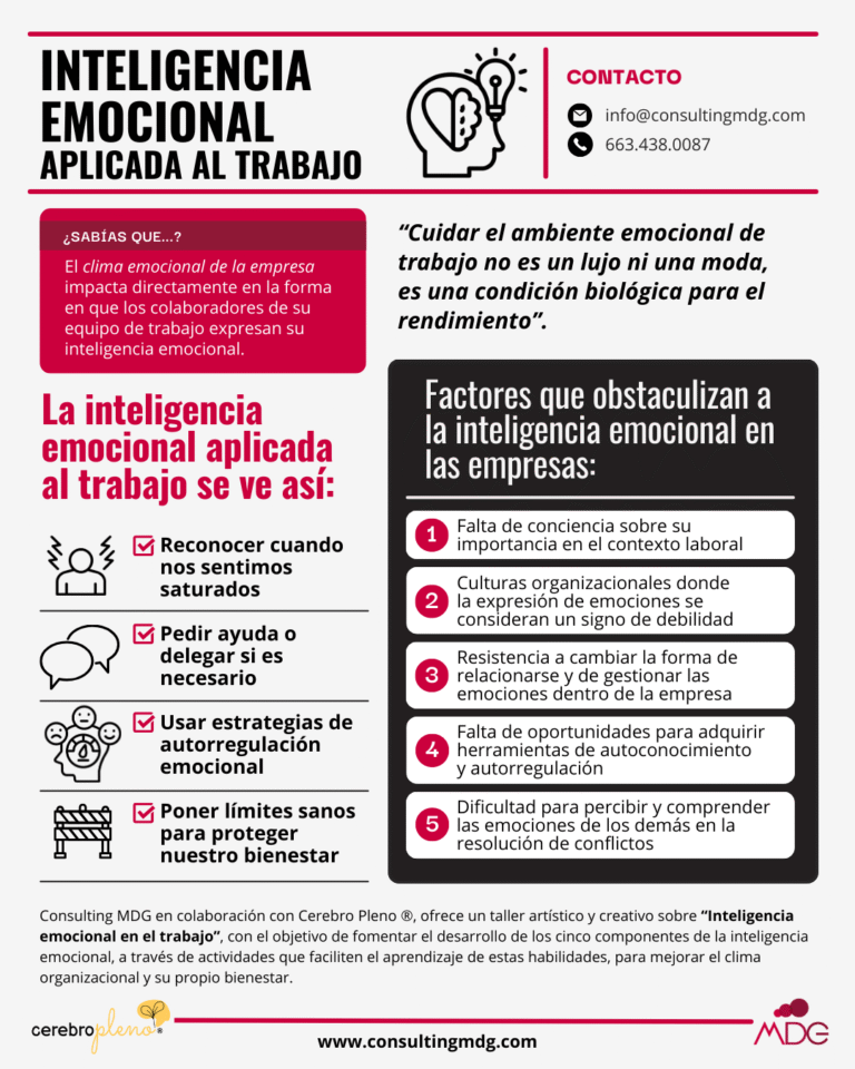 Infografía sobre la inteligencia emocional aplicada al trabajo | Imagen hecha en Canva, por Consulting MDG
